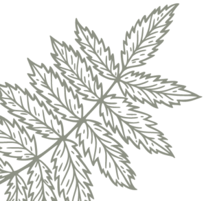 Waldbaden-mit-Hund-Blatt4